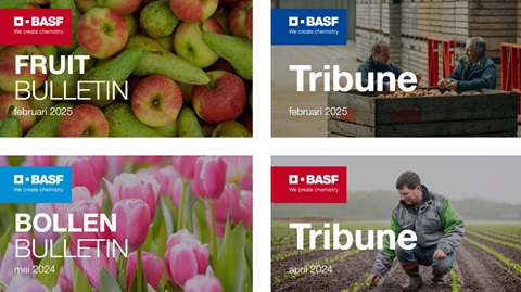 bulletins basf online